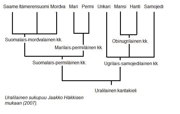 Uralilaisten kielten sukupuu